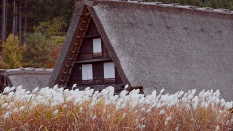 秋季在日本 shirakawago 的一座老房子