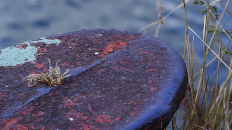 Dolly-in-shot-of-a-rusty-mooring-pole-located-nearby-the-Pripyat-river