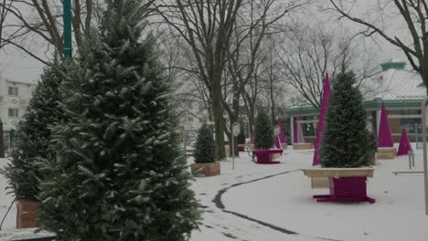 mid shot of christmas tree outside in empty winter snow park