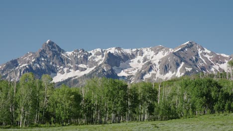 snow capped san juan mountains near telluride, colorado with forest trees in foreground on clear day with blue skies