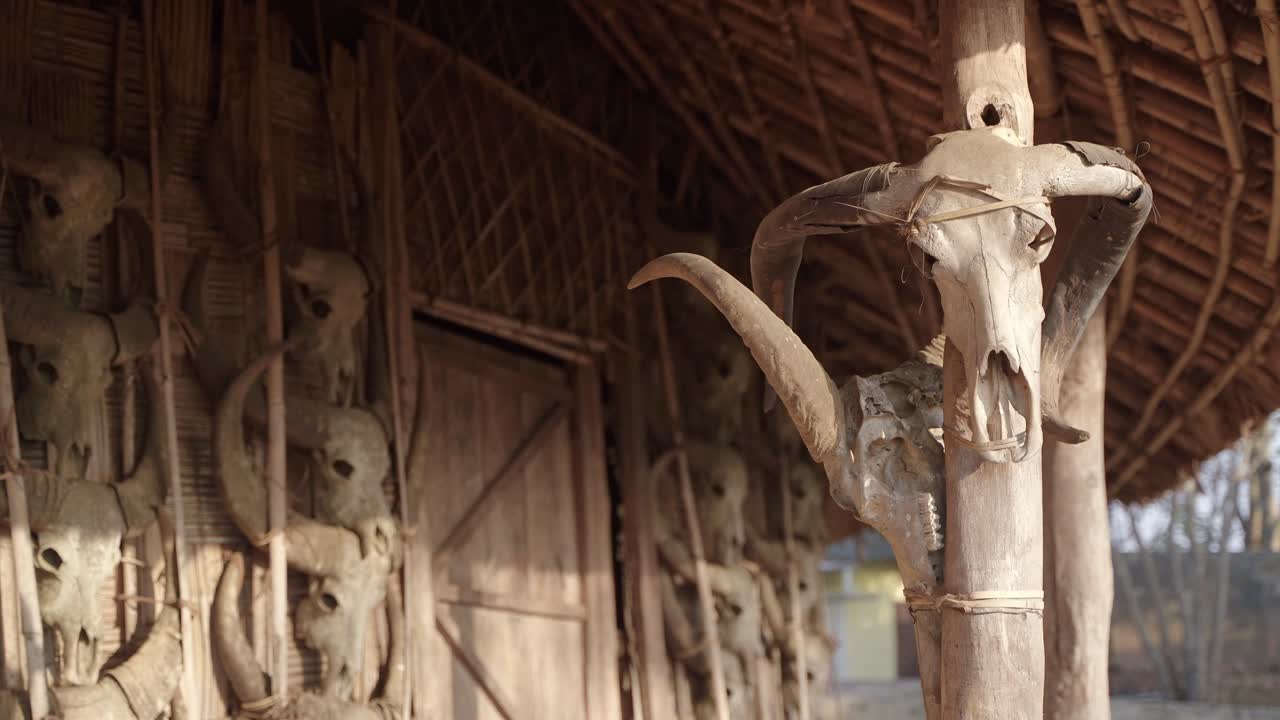 인도 나갈랜드의 나가족은 사냥한 동물의 머리를 집 밖에서 이렇게 매달아 놓습니다.