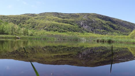 Panoramic view of peaceful landscape with a mirrorlike pond on a sunny summer day