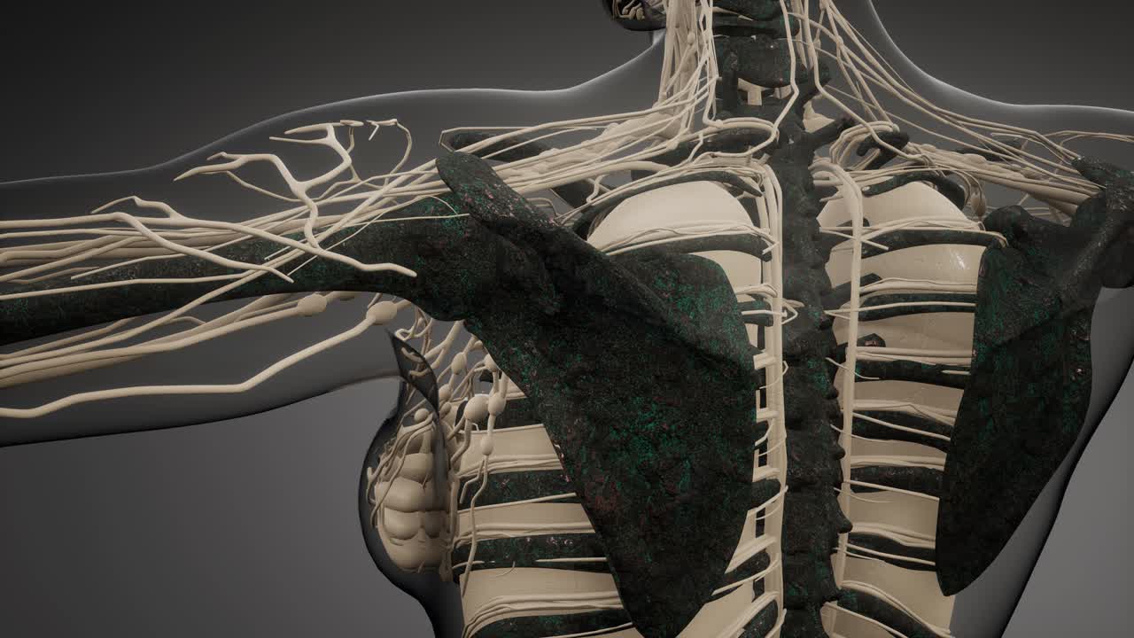 눈에 띄는  ⁇ 가 있는 투명한 인간 몸