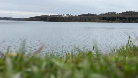 Zeitraffer-Eines-Kleinen-Sees-Mit-Wiese-Im-Vordergrund-Und-Wald-In-Der-Ferne