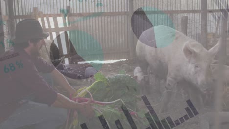 animación del procesamiento de datos financieros sobre cerdos caucásicos que alimentan al hombre