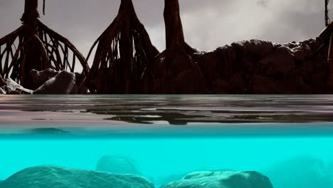 above and below the sea surface near mangrove trees