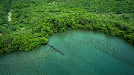 revealing aerial shot of rusty leaking pipe running into lake surrounded by mangroves, dumping sewage