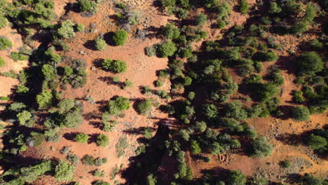 Vista-Aérea-De-Arriba-Hacia-Abajo-Del-Paisaje-Del-Desierto-De-Arizona,-Arbustos-Y-Arenisca,-Rutas-De-Senderismo-Cerca-De-Sedona,-EE.UU.