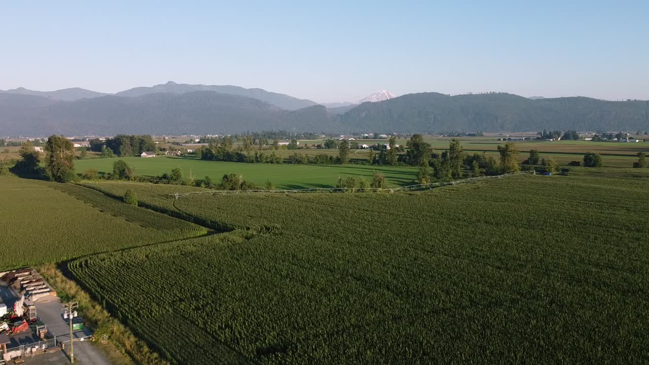 3-4 Aerial super slow fly over mountain valley farms on a sunny summer day with lush green rows of crop vineyards fruit at a cultivated countryside with a natural scenic ripe harvest of the plentiful