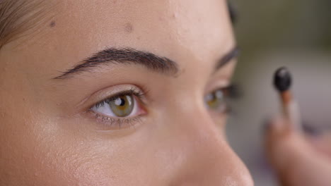 close-up of a woman's face with makeup being applied to her eyebrows