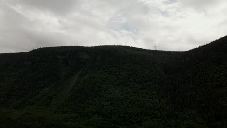 Bosque-Siempreverde-Junto-A-Las-Montañas-Chic-choc-En-Un-Día-Nublado-En-La-Península-De-Gaspe,-Quebec,-Canadá