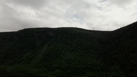 Evergreen-Forest-By-The-Chic-Choc-Mountains-On-A-Cloudy-Day-At-The-Gaspe-Peninsula,-Quebec,-Canada