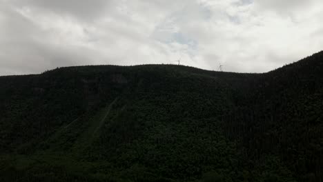 evergreen forest by the chic-choc mountains on a cloudy day at the gaspe peninsula, quebec, canada