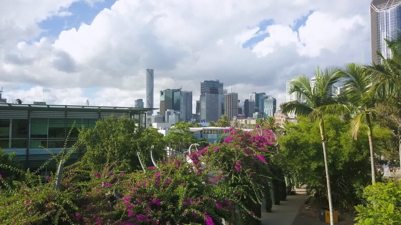 오스트레일리아 브리즈번 의  ⁇ 은 날 에 사우스  ⁇ 크 공원 에 있는 나무 들 위 를 날아다니는 항공기