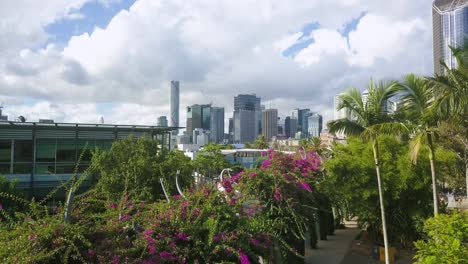 Aerial-flying-over-trees-in-South-Bank-Parklands-on-sunny-day,-Brisbane,-Australia