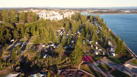 Aerial-scenic-drone-shot-of-pine-top-trees-rural-travel-tourism-skatepark-view-main-town-Port-Macquarie-break-wall-CBD-buildings-Hastings-River-NSW-Australia-4K