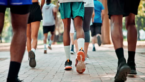 group of runners in park