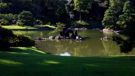 the beautiful view in rikugien gardens