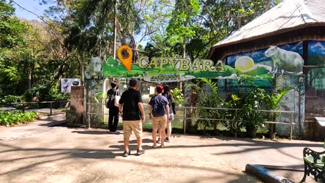 la gente explora la exhibición de capibara en el zoológico de chonburi