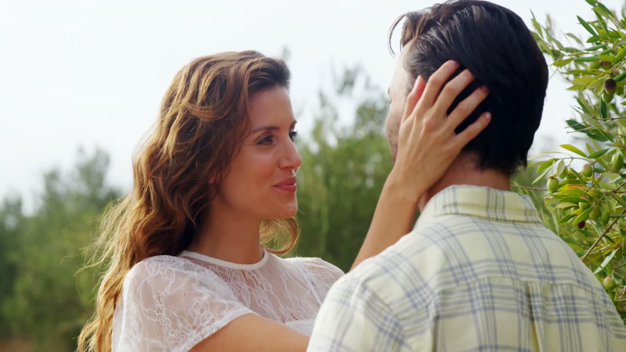 올리브 농장에서 서로 포옹하는 로맨틱 한 커플 4k