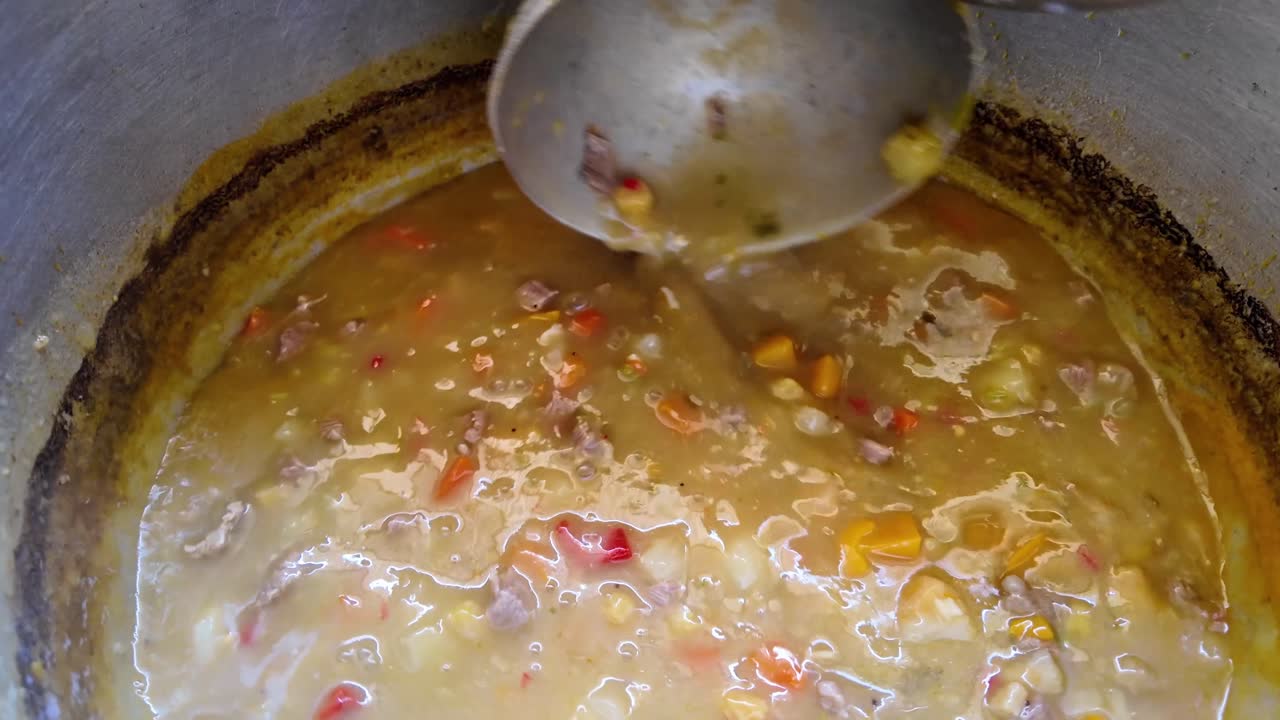 Large pot of homemade meat and vegetable stew simmering on the stove