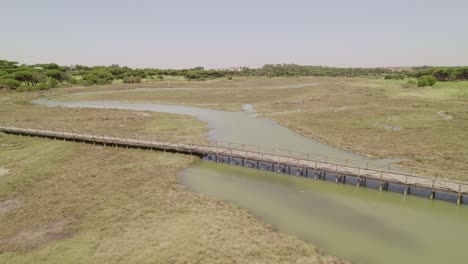 marshes and high tide at midday