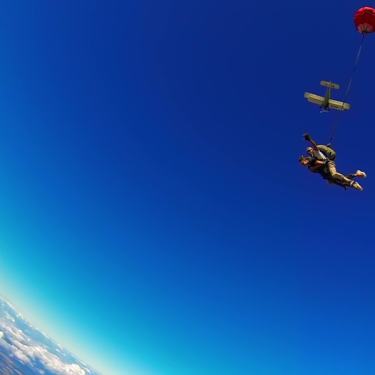 Two male sportsmen in tandem jump out of aircraft. Men float in the air and then open the parachute. Clear blue sky at backdrop