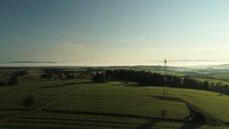 Scenery-Of-Evergreen-Landscape-Under-Blue-Sky-During-Sunshine-Morning