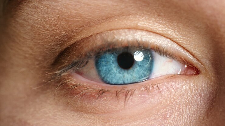 Occhio blu e vista di donna che batte le palpebre