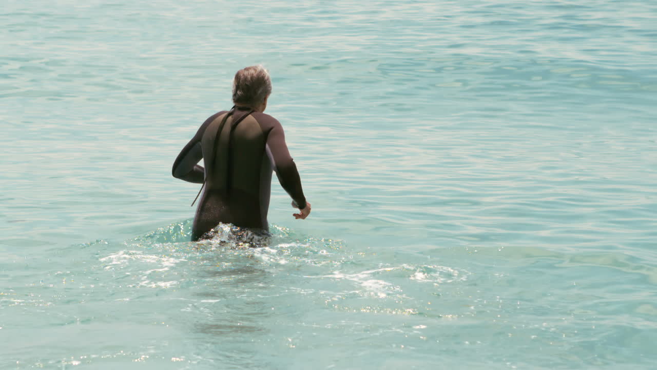 물 속 에 은 의복 을 입은 고위 인사