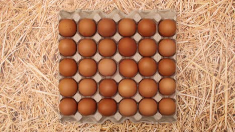 box for eggs appear on straw theme and eggs appear in box. stop motion