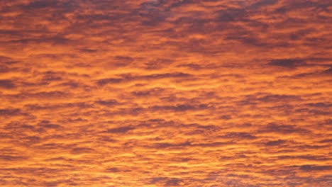 brillante colorido atardecer cielo con nubes lisas vívidas iluminadas con la puesta de sol luz que se extiende al horizonte