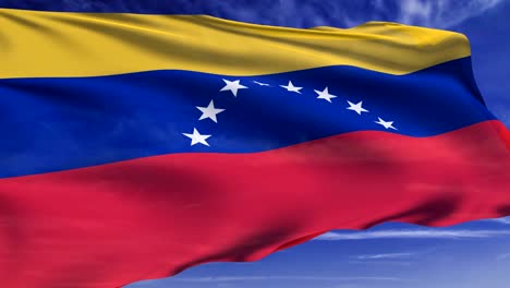 flag of venezuela (looping)