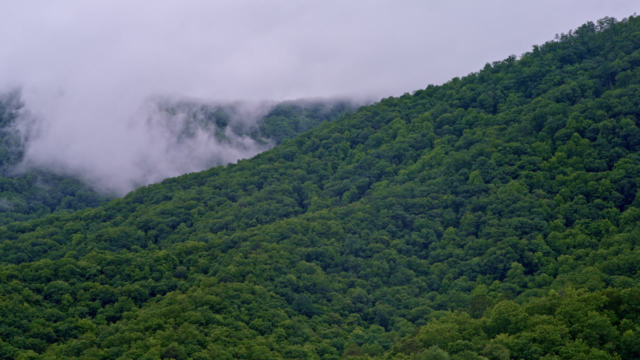 Cinematic drone ascending over mist-draped Smoky landscapes.