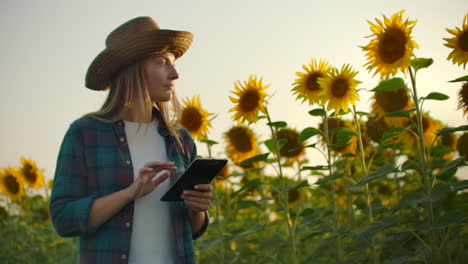 Eine-Studentin-Geht-An-Einem-Sommerabend-über-Ein-Feld-Mit-Großen-Sonnenblumen-Und-Schreibt-Informationen-Darüber-In-Ihr-Elektronisches-Tablet.