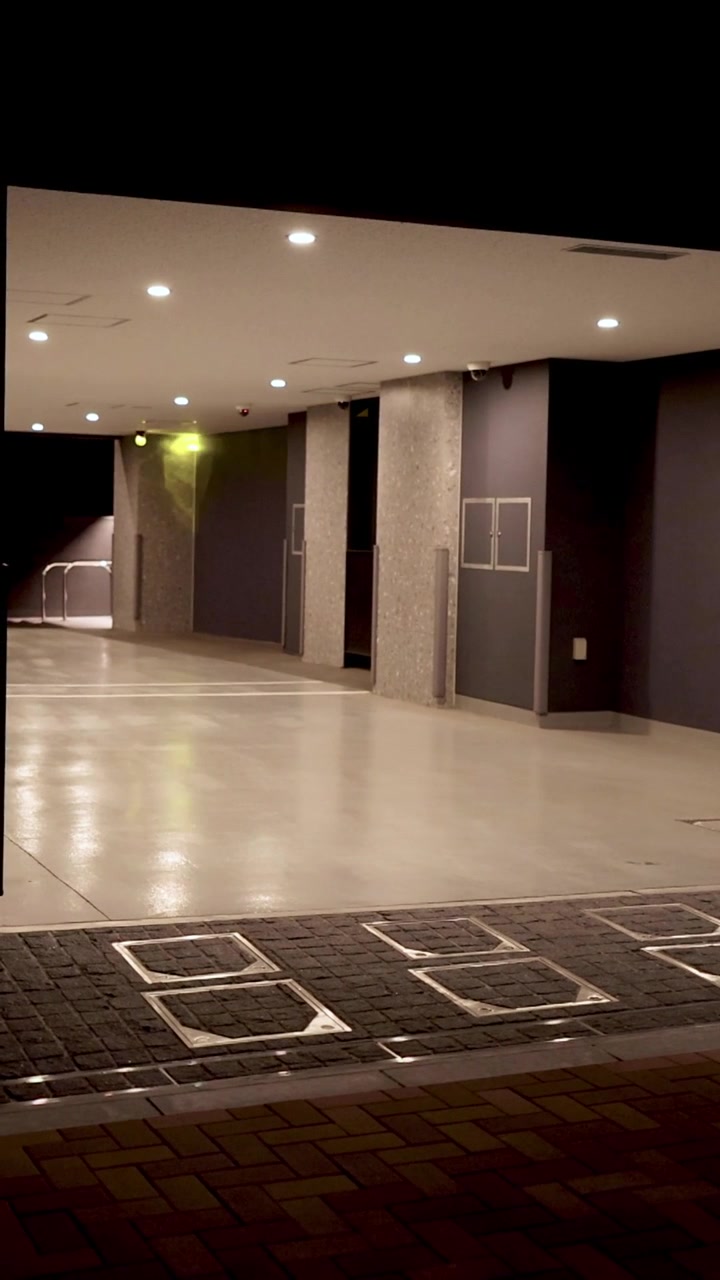 Un pasillo de entrada de edificio moderno, tranquilo y bien iluminado, con suelos pulidos y una iluminación arquitectónica contemporánea