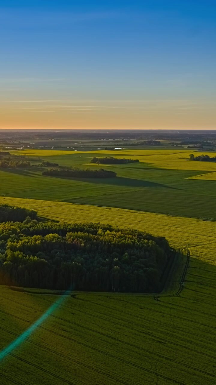Green and yellow fields surround compact groves beneath a clear blue sky, vertical aerial hyperlapse timelapse
