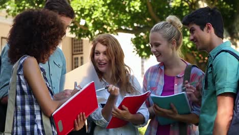 studenten stehen und plaudern miteinander.