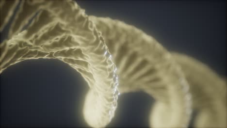 loop double helical structure of dna strand close-up animation