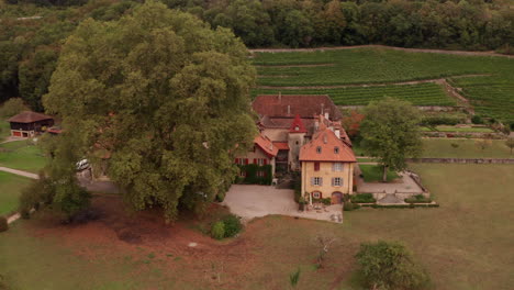 Aerial-reveal-of-monumental-buildings-behind-large-tree-in-rural-Switzerland