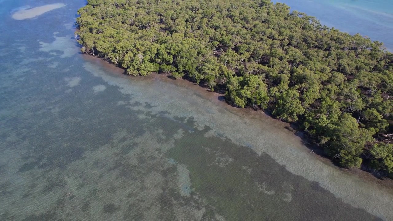 Havslandskap och Crab Island i Runaway Bay, QLD, Australien - Flygfoto med drönare.