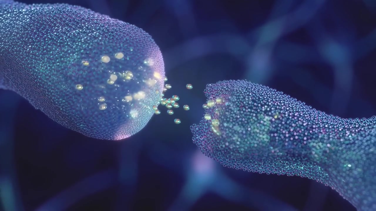 Neural Network with Firing Neurons and Synaptic Transmission