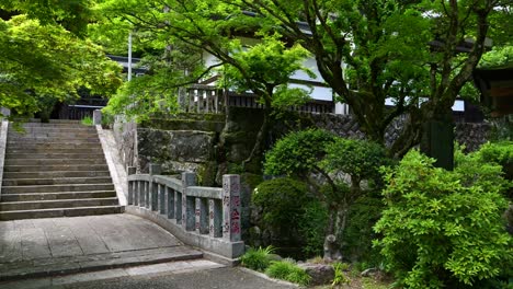 push in walk at beautiful daiyuzan temple in kanagawa, japan