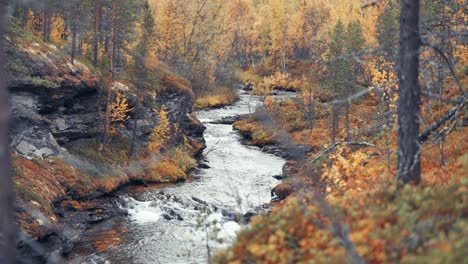 El-Río-Poco-Profundo-Fluye-A-Través-Del-Bosque-De-Otoño