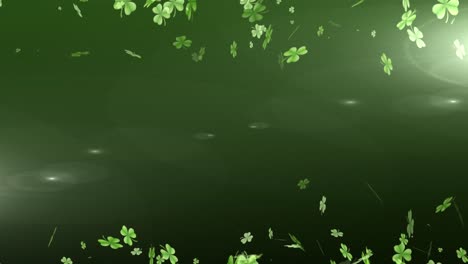 animation multiple floating green shamrocks on top and bottom