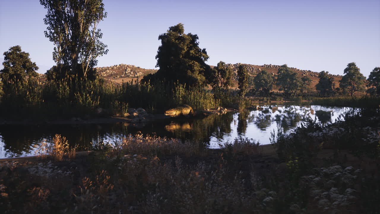 Crocodile resting near calm waters in a serene natural landscape