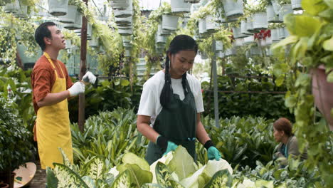 giardinieri che lavorano all'interno