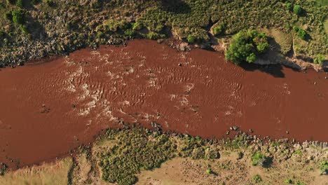 Maasai-Mara-Fluss-In-Kenia,-Afrika,-Luftaufnahme-Der-Landschaft,-Wunderschöne-üppige-Grüne-Landschaft-Von-Oben-Nach-Unten,-Vertikale-Drohnenansicht-Im-Masai-Mara-Nationalreservat-In-Kenia,-Afrika,-Hoch-Oben-über-Dem-Aufnahmefoto