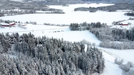 Traverse-the-enchanting-snow-laden-forest,-where-every-tree-branch-is-delicately-adorned-with-a-pristine-layer-of-snow,-creating-a-magical-atmosphere-that-transports-you-to-a-realm-of-tranquility