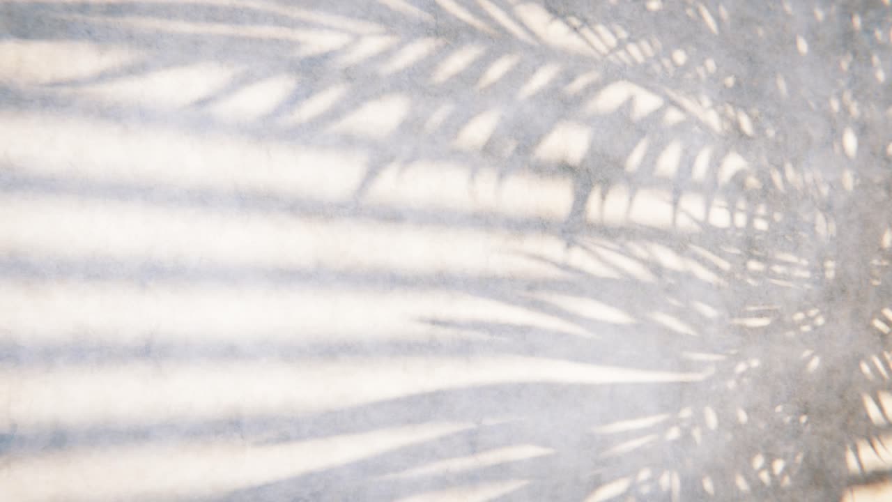 Dynamic Palm Leaf Shadows Moving on a Textured Wall